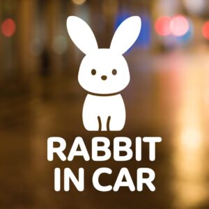 āļŠāļāļīāđāļāđāļāļāļĢāđāļāļīāļāļĢāļ RABBIT IN CAR āđāļāļĢāļāļĄāļĩāļāļĢāļ°āļāđāļēāļĒ āļāļ āļāļđāļāđāļēāđāļāļĨāđāļāļāļĢāđ