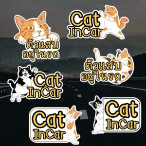 āļŠāļāļīāļāđāļāļāļĢāđ Cat in Car āđāļāļĢāļāļĄāļĩāđāļĄāļ§ - āļ§āļąāļŠāļāļļ PP āđāļāļĨāļ·āļāļāļāļīāļ§ āļāļāļāļēāļ āļāļąāļāļāđāļģ āļāļąāļāđāļāļ