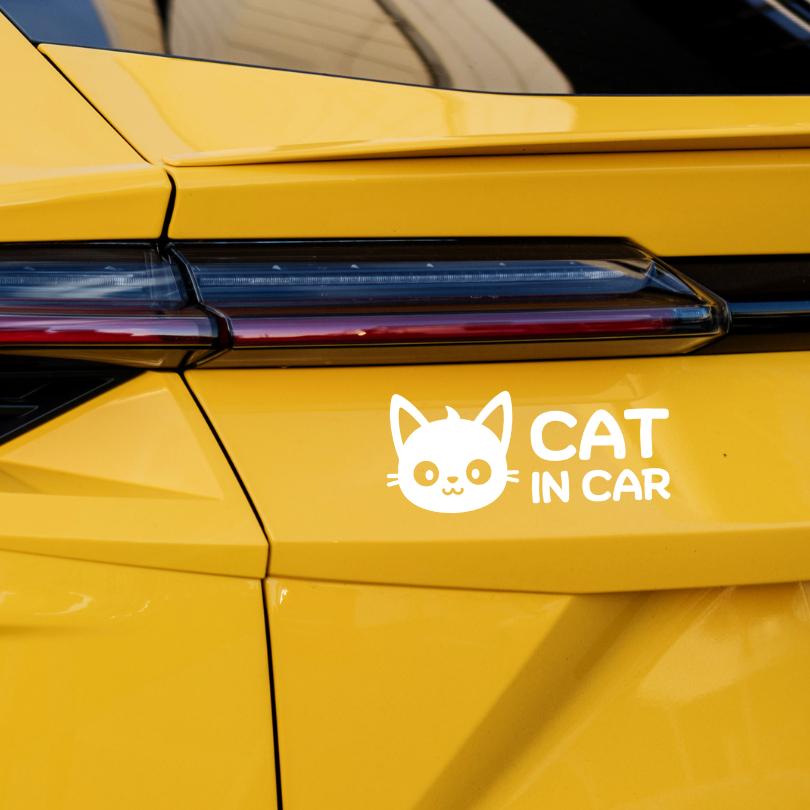 สติกเกอร์ Cat in Car ในรถมีแมว PVC OUTDOOR ทนน้ำทนแดด ไดคัทสีขาว - Image 7